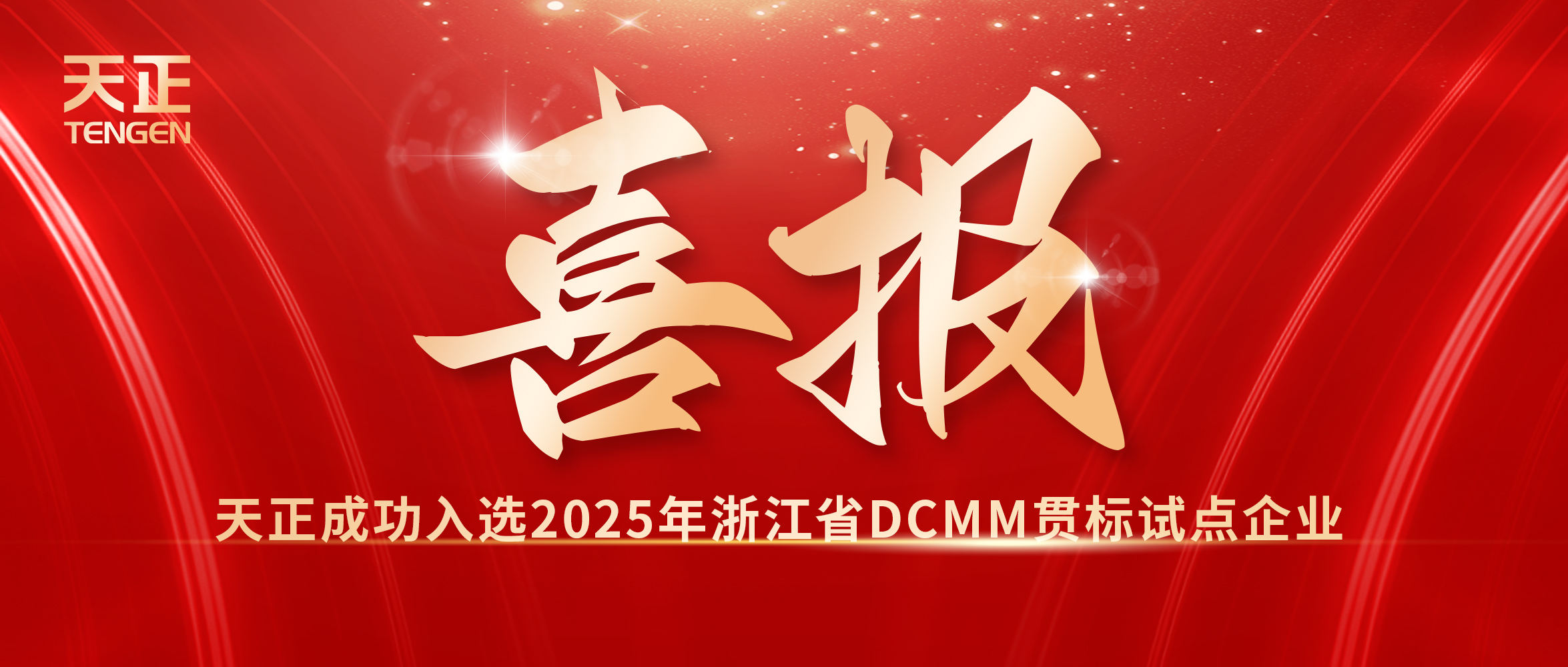 喜報！天正入選浙江省DCMM貫標試點企業(yè)